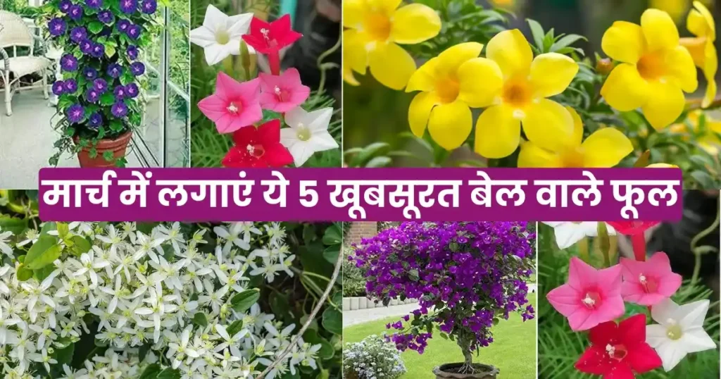 Flowering tips