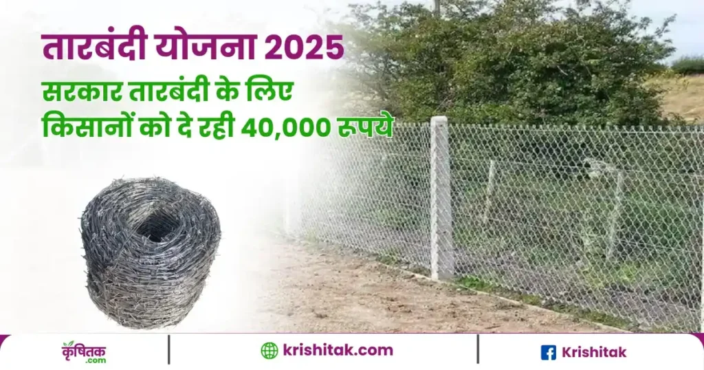 fencing scheme 2025