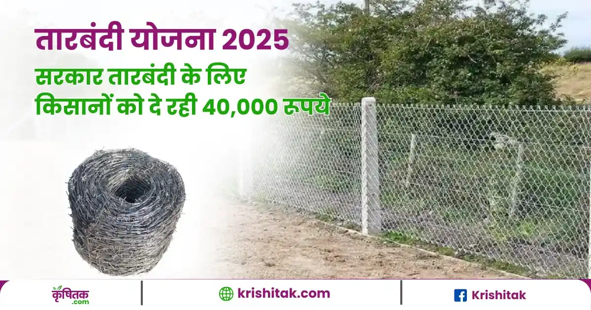 fencing scheme 2025