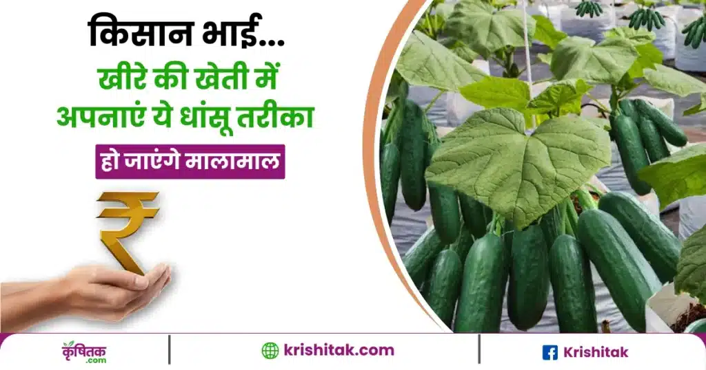 Khire Ki Kheti