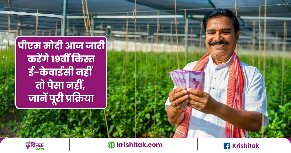 PM kisan Yojana