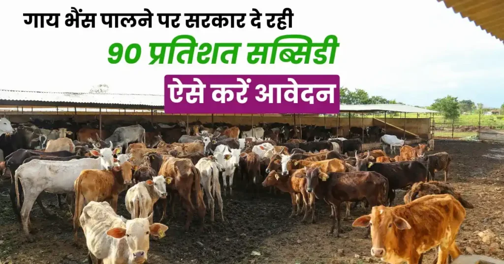 Dairy farming subsidy