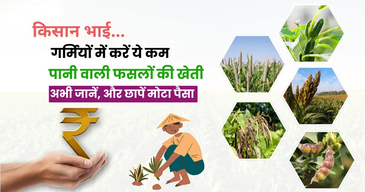 गर्मियों में कम पानी वाली फसलें