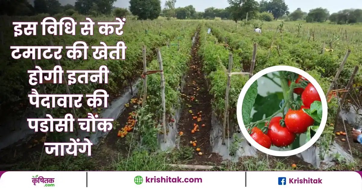 स्टेकिंग तकनीक