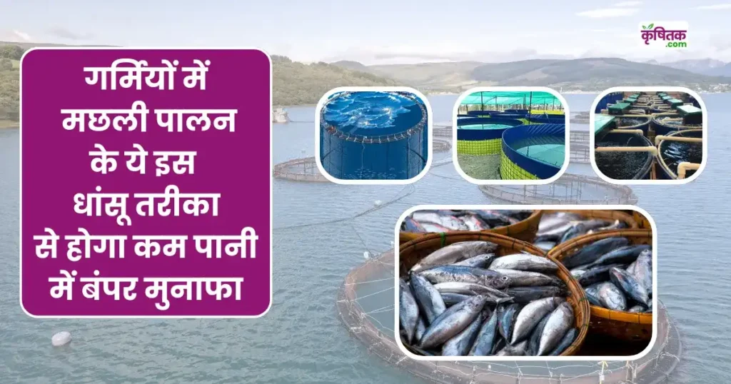 गर्मी में मछली पालन