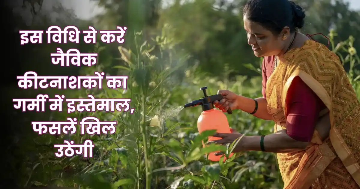 जैविक कीटनाशकों का गर्मी में इस्तेमाल