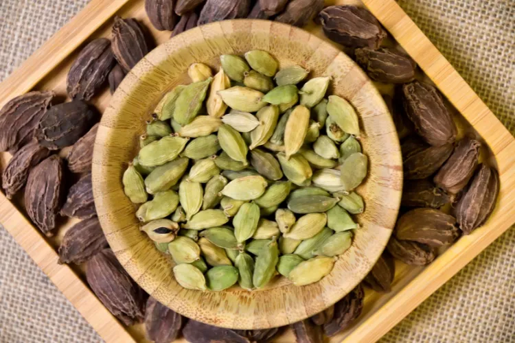 Cardamom Farming In Hindi