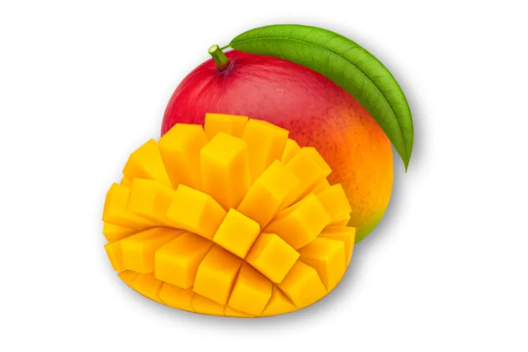 Miyazaki Mango ki kheti