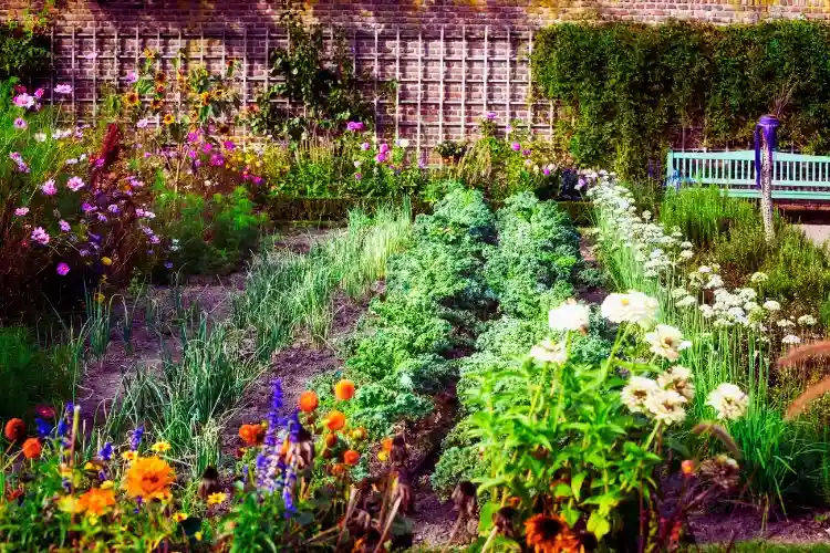 Kitchen Gardening Tips in Hindi