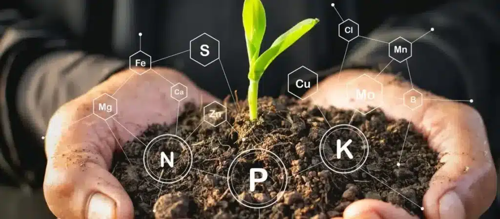 How can we improve soil quality