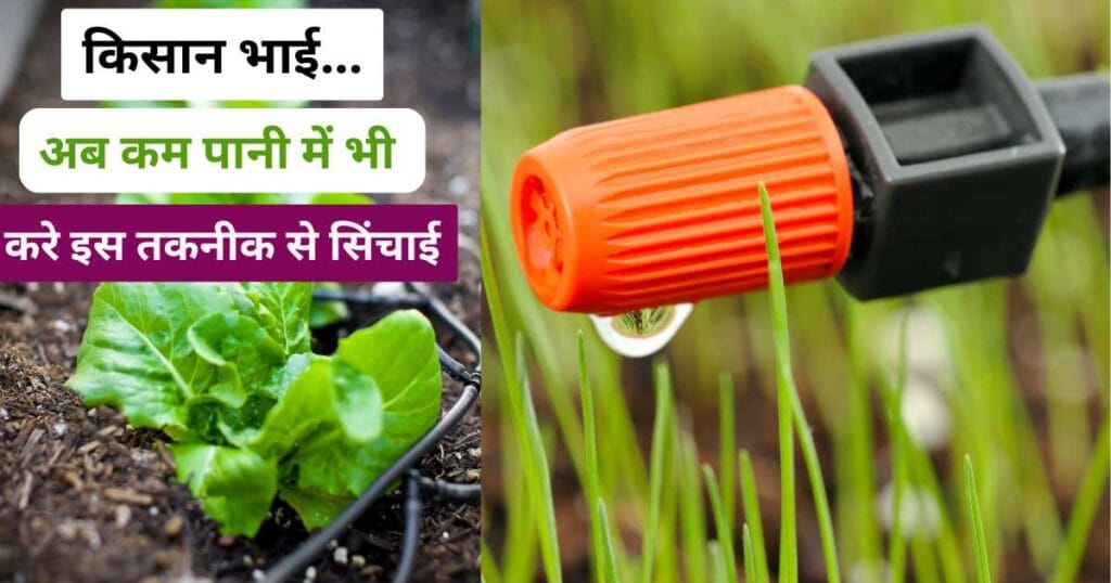 Drip Irrigation Systems