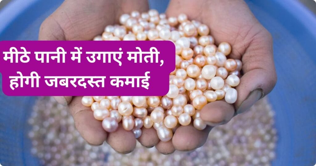 Meethe paani me Moti ki kheti