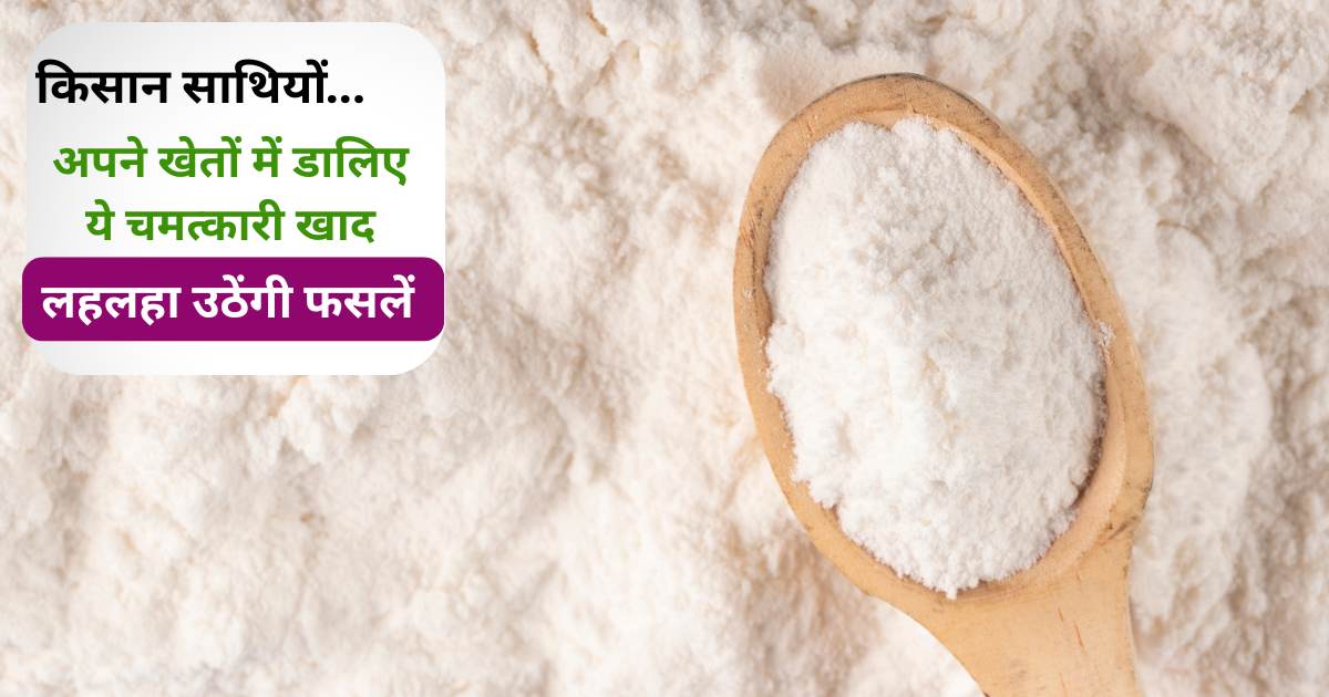 Use of baking soda in Agriculture