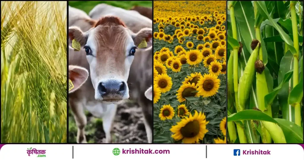 Important advice for farmers in March-April
