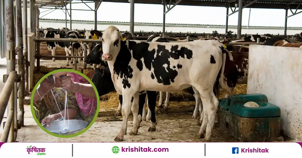 Animal Husbandry Tips