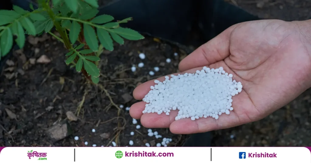 नकली बीज और कीटनाशक बेचने वालों पर सख्त कार्रवाई! 3 साल की जेल और 5 लाख का जुर्माना