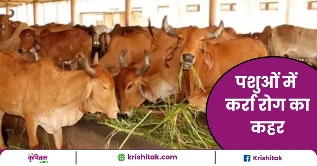 पशुओं को कर्रा रोग