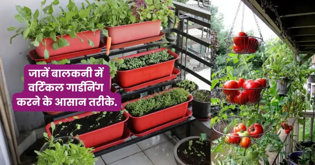 Verticle Gardening Tips In Hindi