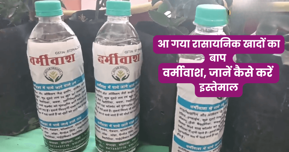 Benefits of Organic Fertilizer Vermiwash