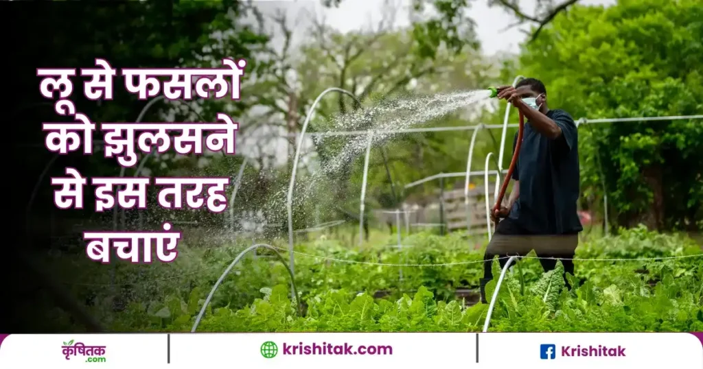 How to Save Crops from Heat Wave