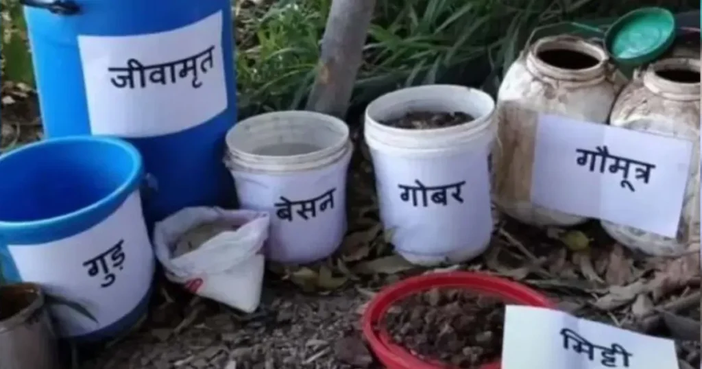 Farming Benefits of Jeevamrit