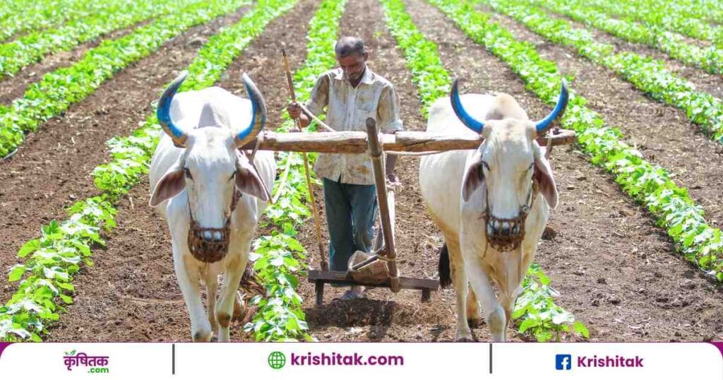Bihar Budget 2025