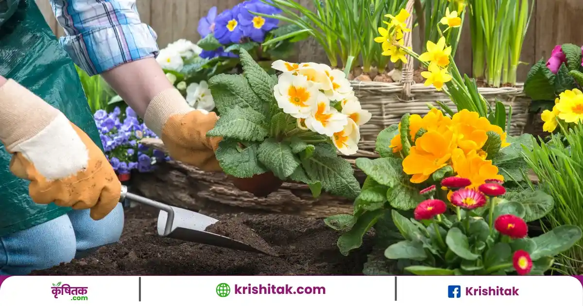 Gardening Tips