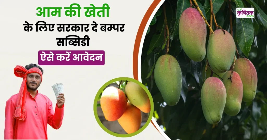 Subsidy On Mango Farming