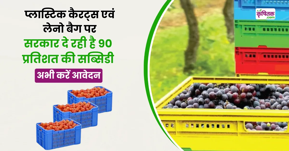Plastic Crates Subsidy