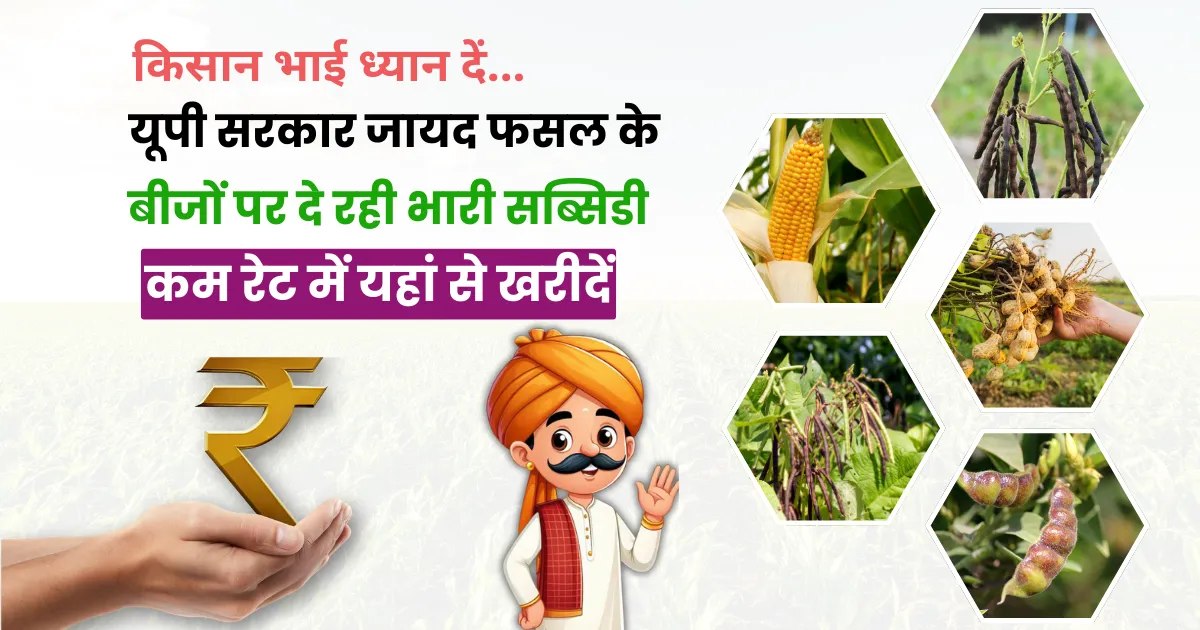 Subsidy On Zaid Crop Seeds