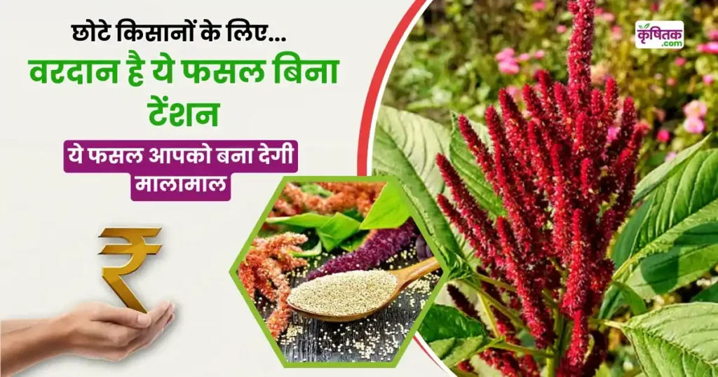 Ramdana Farming