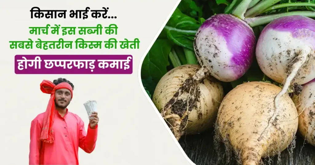 Top 5 Varieties of Shalgam
