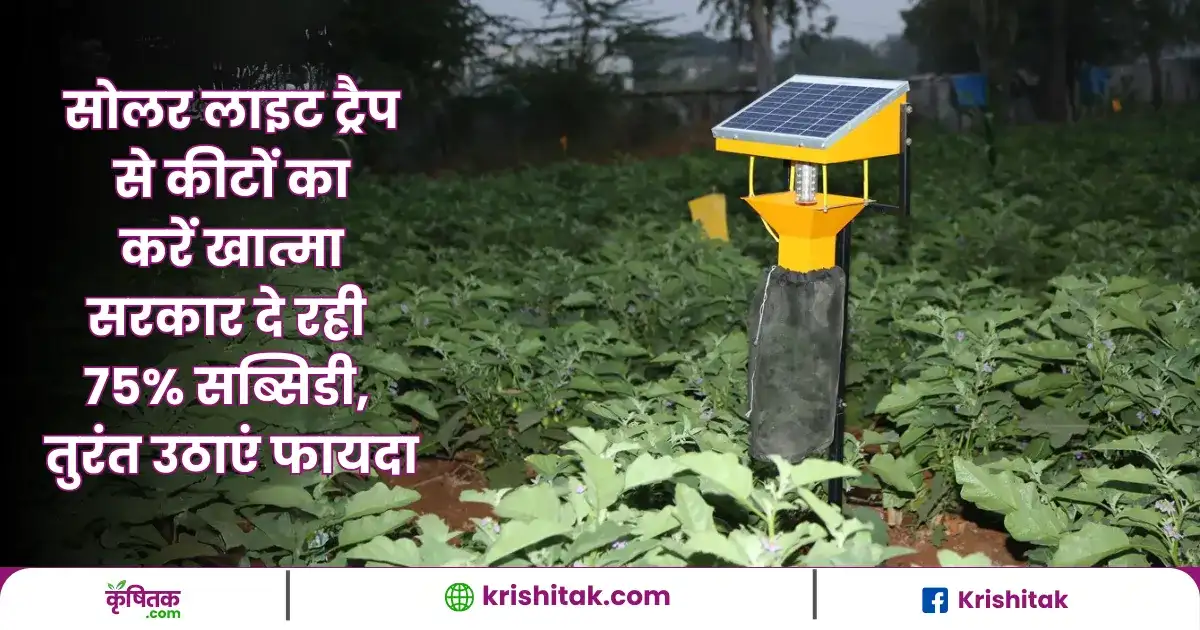 Subsidy On Solar Light Trap