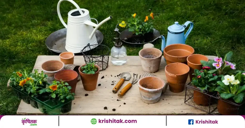 Summer Gardening Tips