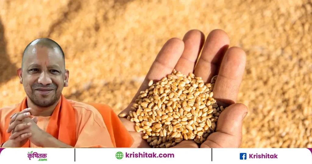 Wheat Procurement