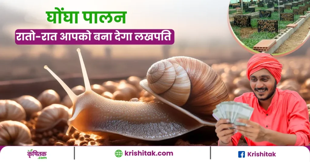 Snail Farming In Hindi