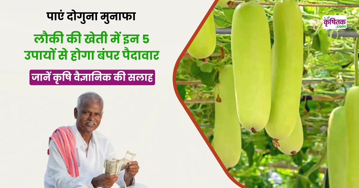 Lauki Ki Kheti Ke Tips