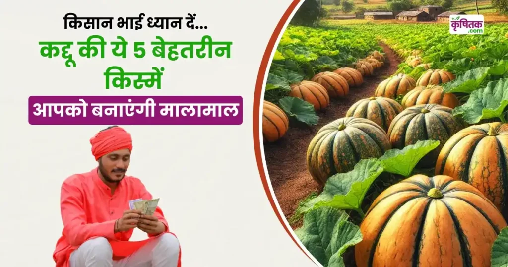 Pumpkin Top 5 Varieties