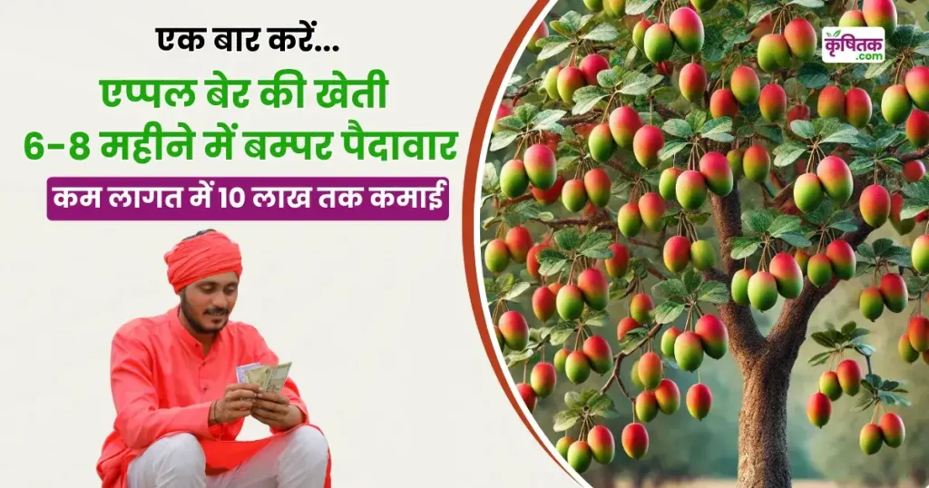 Apple Ber Farming