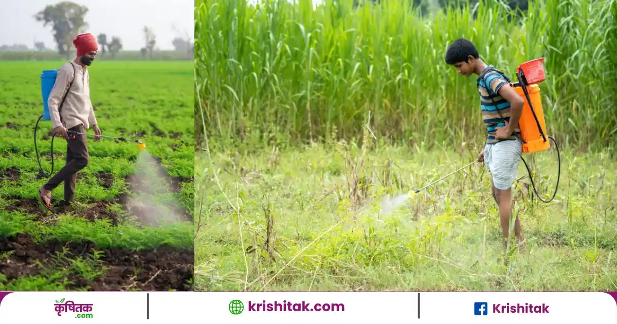 spray pump 50 percent subsidy scheme