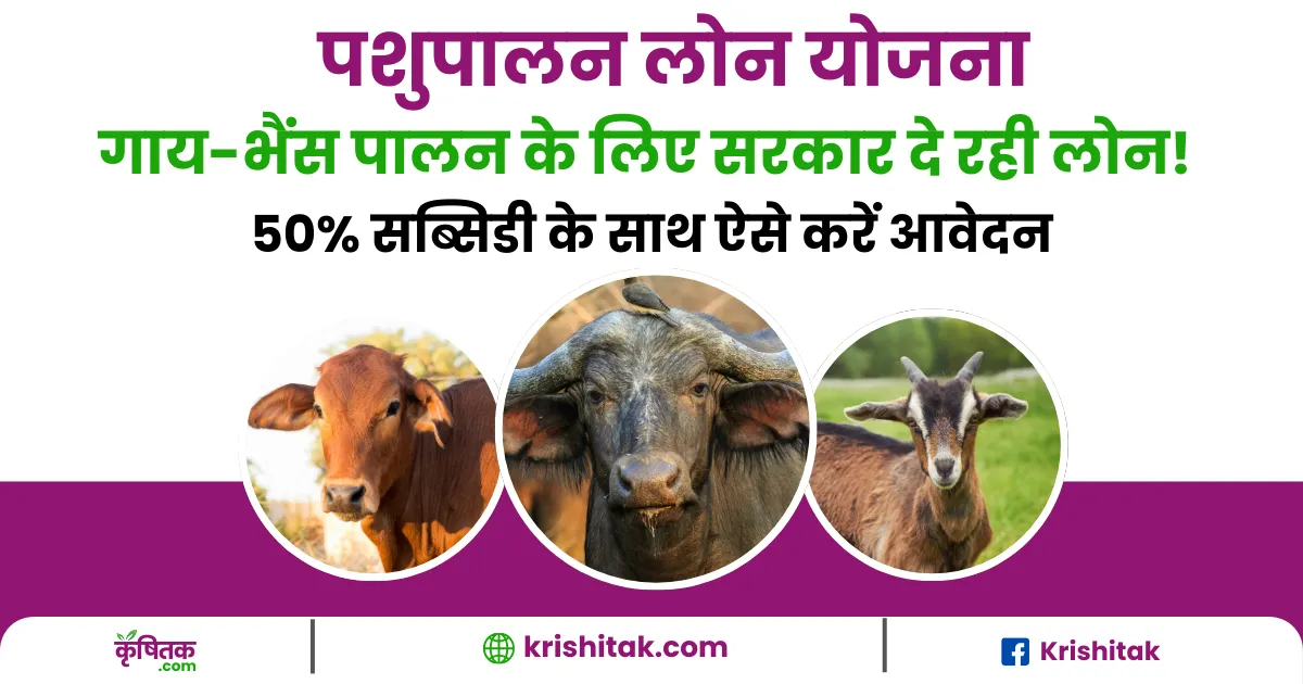 Pashupalan Loan Yojana