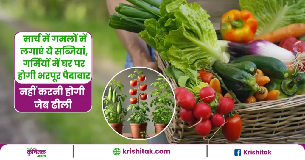 Home Vegetables Cultivation