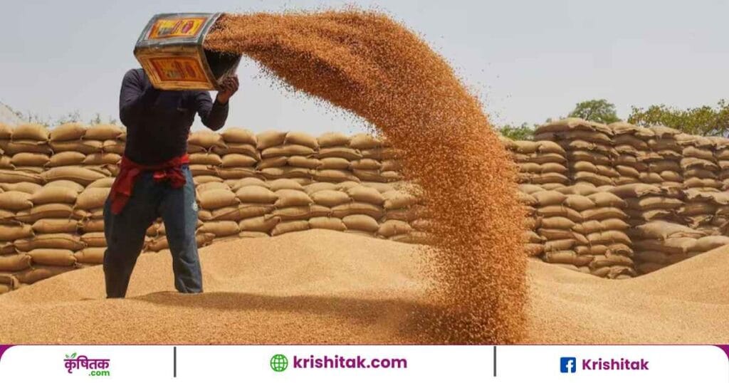 Wheat Mandi Rate