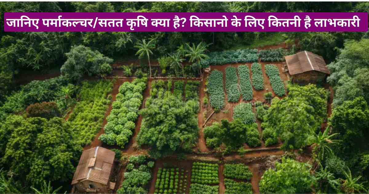 What is permaculture in India