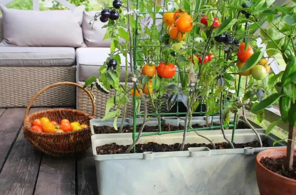 Verticle Gardening Tips In Hindi