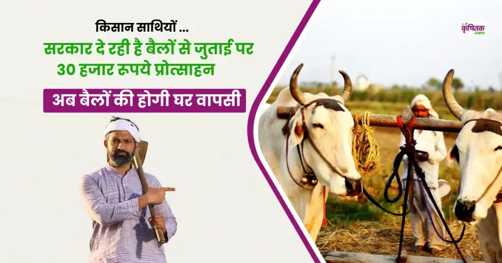 government will give 30 thousand rupees for farming with oxen