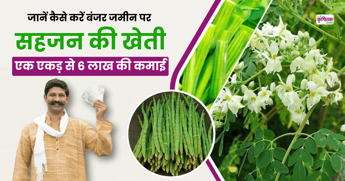 Sahjan ki kheti in hindi