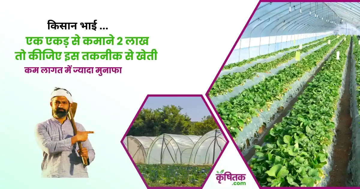 Tunnel farming structure