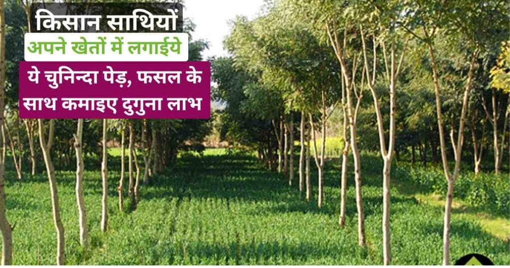 Benefits of Agroforestry
