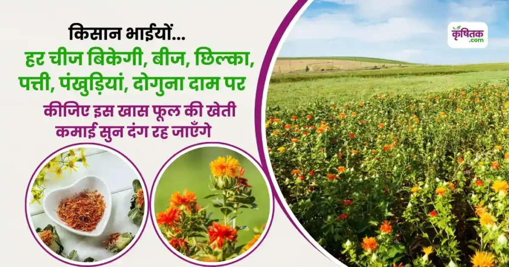 Kusum Ki Kheti